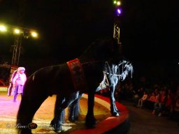 Circus YAKARI Show am 04.10.2024